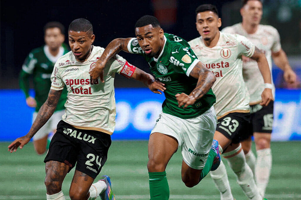 palmeiras_1755829467_3704488529942244064_288523451