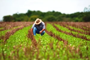 produtor_rural