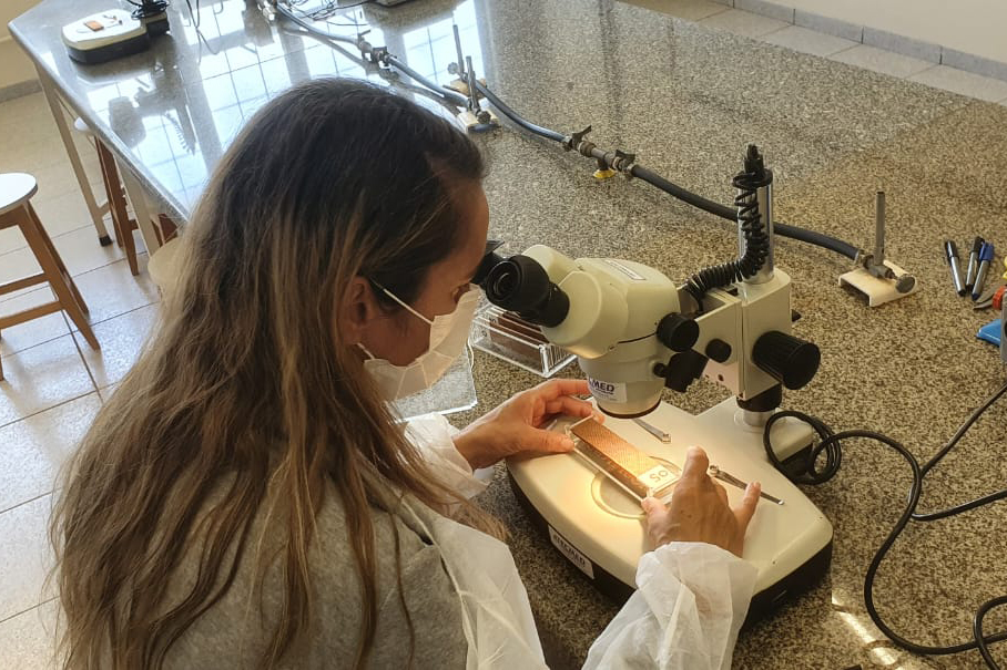 whatsapp_image_2025-08-06_at_14.18.51