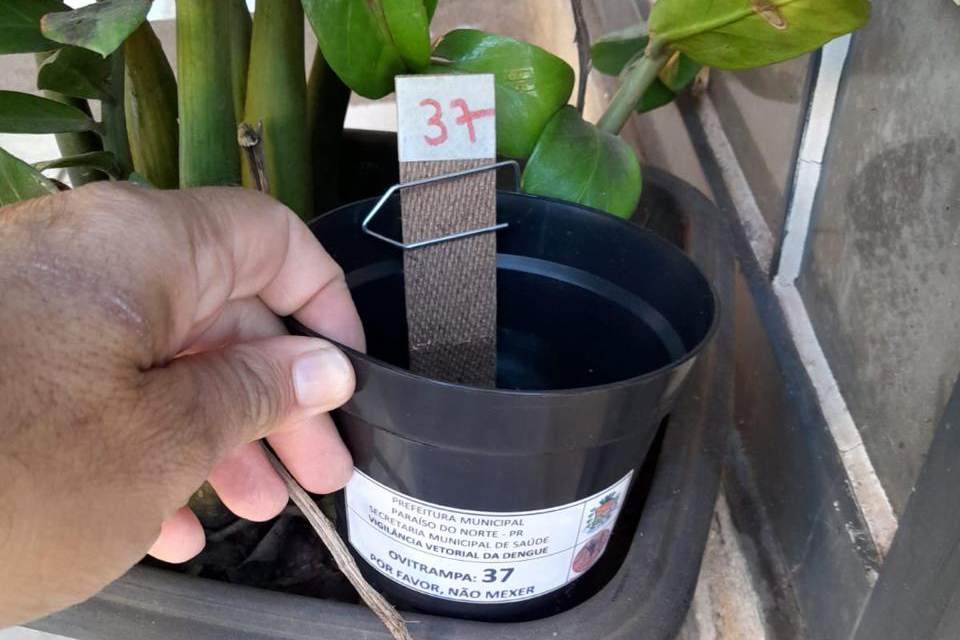 whatsapp_image_2025-08-06_at_14.20.32