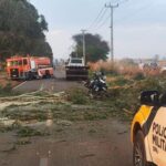 16f312574e838c6afb2c9d1cb2d629e2