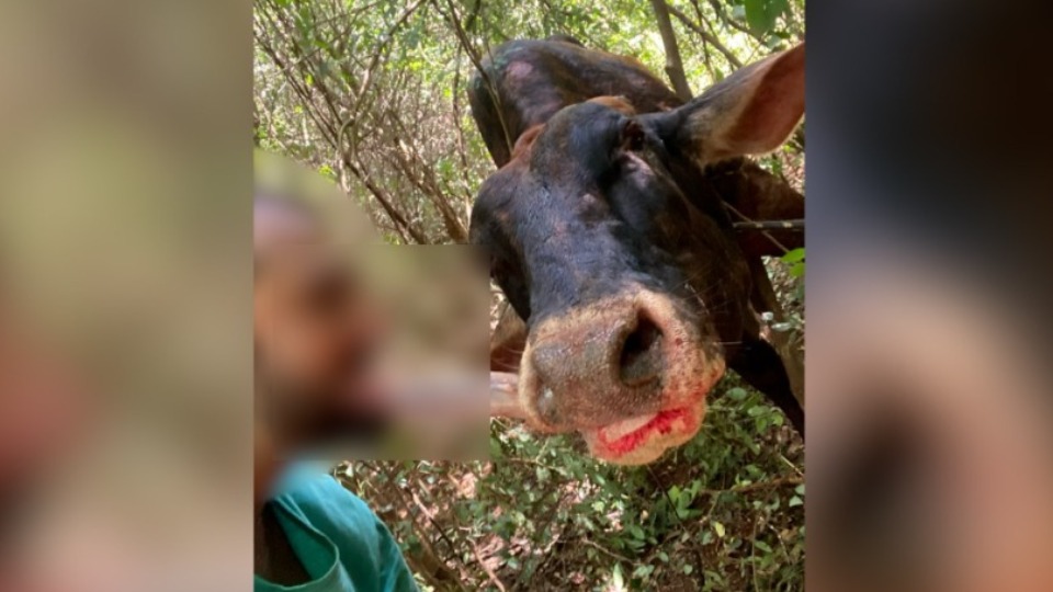 175865898668d301aa3a793