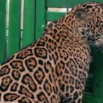 544445c1-1742-4b3d-93aa-5e8def418675