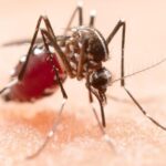 86ef8aca294eb23dce41a9bcf303cf3d (1)