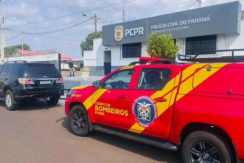 Bombeiros-e-caes-reforcam-buscas-por-desaparecidos-em-Icaraima-3