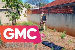 Design sem nome – 2025-09-09T133657.743