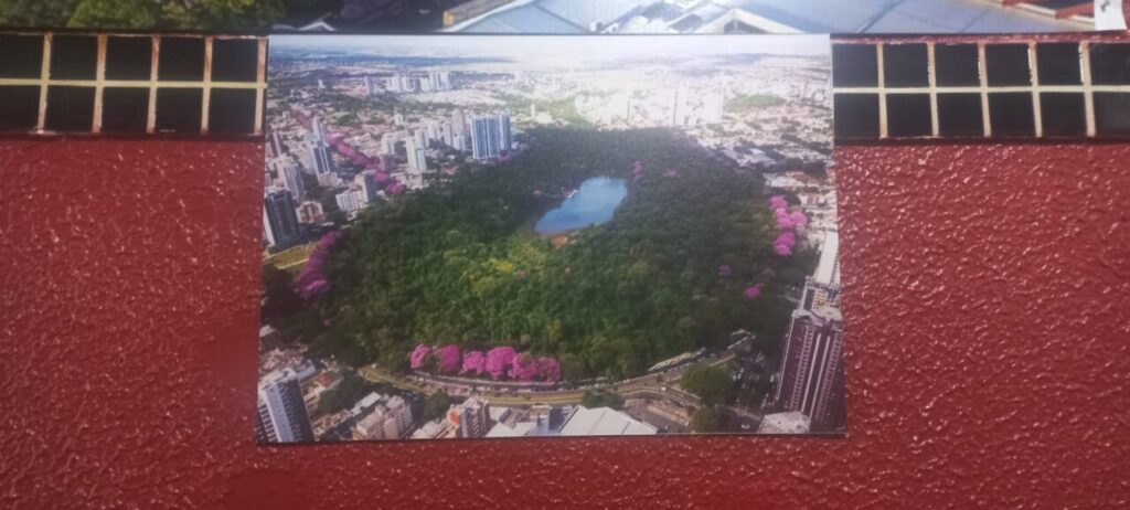 Imagem do WhatsApp de 2025-09-09 à(s) 14.48.54_87479530