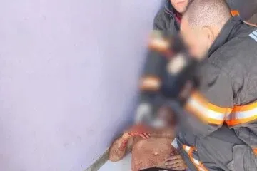 O-caso-e-investigado-pela-21-Delegacia-de-Policia–01027330-0-202509291842-ScaleDownProportional