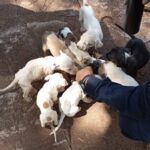 WhatsApp Image 2025-09-08 at 09.34.57