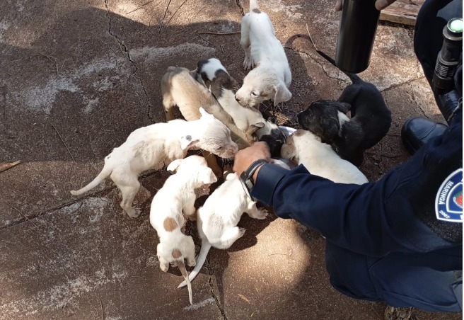 WhatsApp Image 2025-09-08 at 09.34.57