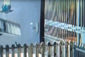 WhatsApp Image 2025-09-08 at 16.02.06 (1)