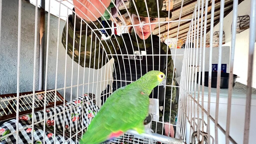 WhatsApp Image 2025-09-10 at 09.55.24