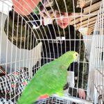 WhatsApp Image 2025-09-10 at 09.55.24