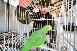 WhatsApp Image 2025-09-10 at 09.55.24