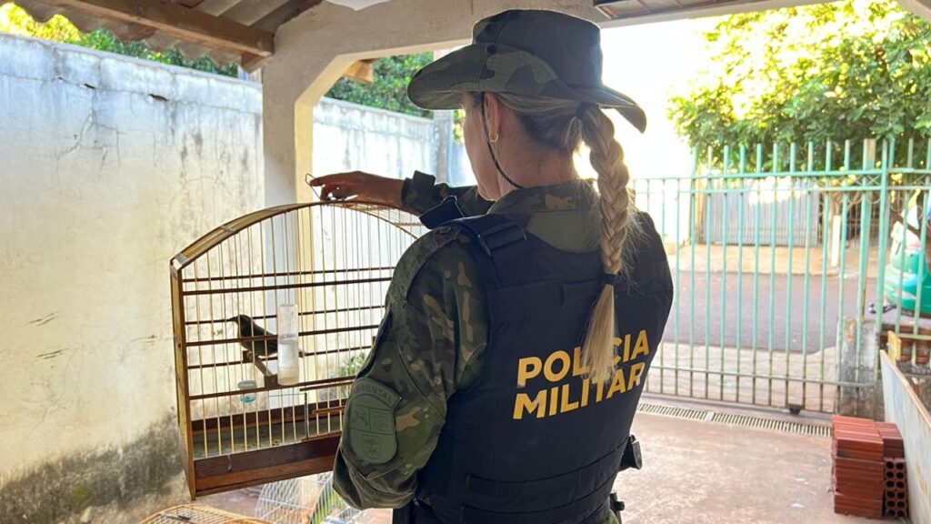 WhatsApp Image 2025-09-10 at 09.55.25 (1)