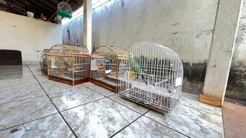 WhatsApp Image 2025-09-10 at 09.55.25