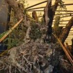 WhatsApp Image 2025-09-10 at 18.39.29