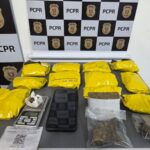 WhatsApp Image 2025-09-11 at 10.17.41