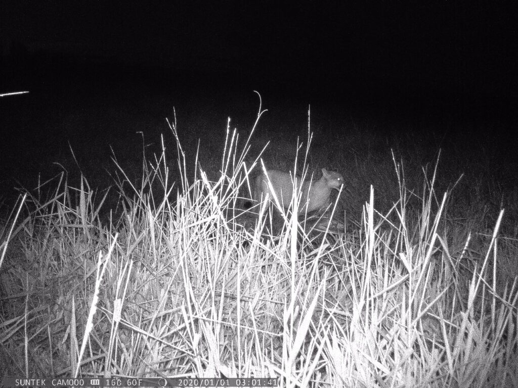 WhatsApp Image 2025-09-12 at 11.08.12