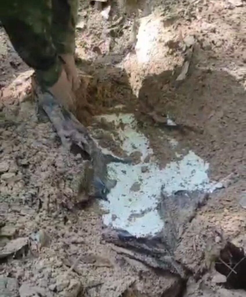 WhatsApp Image 2025-09-12 at 16.19.23