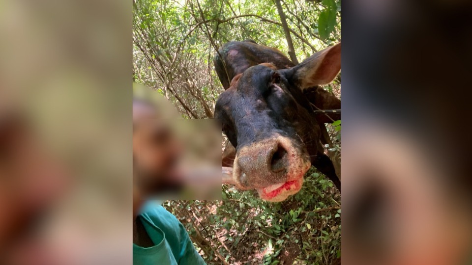 WhatsApp Image 2025-09-15 at 08.31.33 (1)