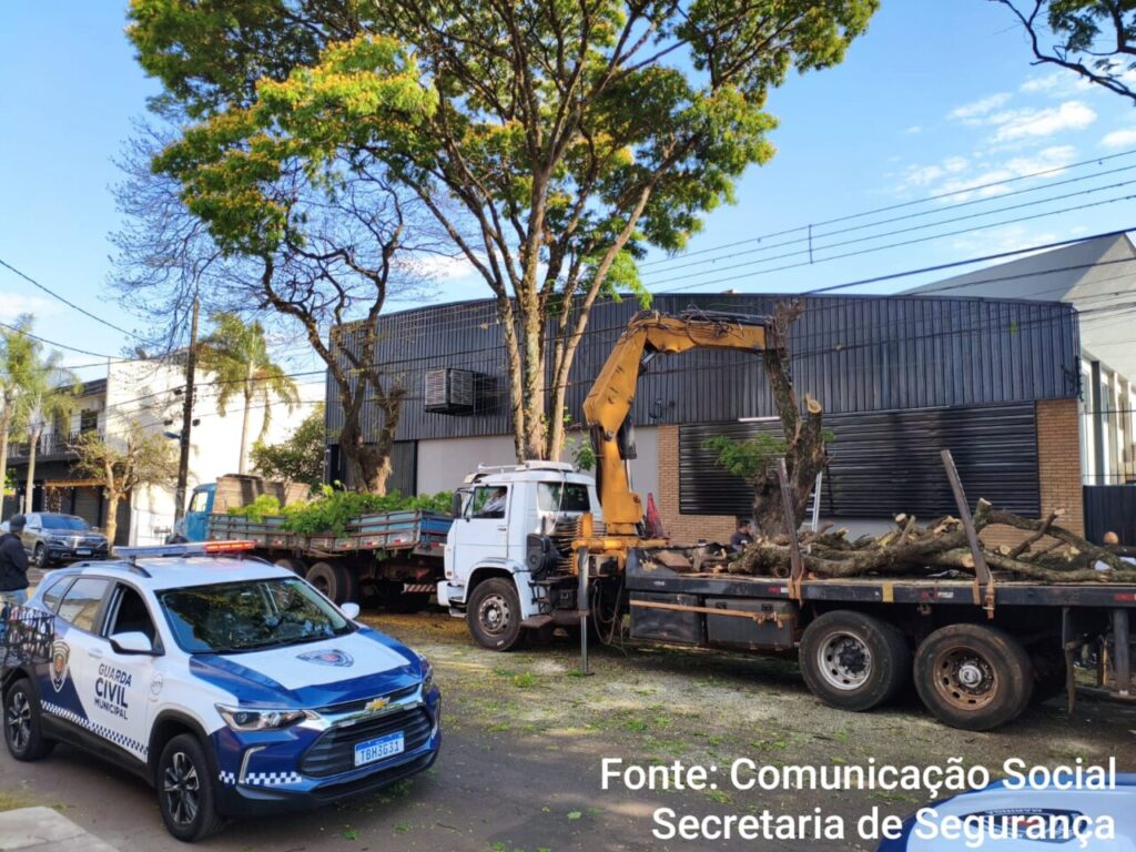 WhatsApp Image 2025-09-15 at 10.32.22 (1)