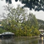 WhatsApp Image 2025-09-22 at 08.16.03