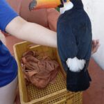 WhatsApp Image 2025-09-22 at 15.10.48