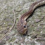 WhatsApp Image 2025-09-30 at 11.09.03