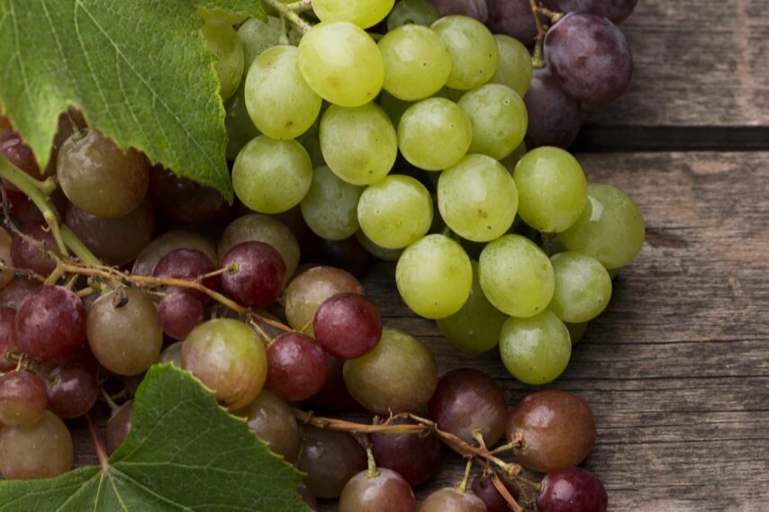 arranjo-plano-de-frutas-de-outono