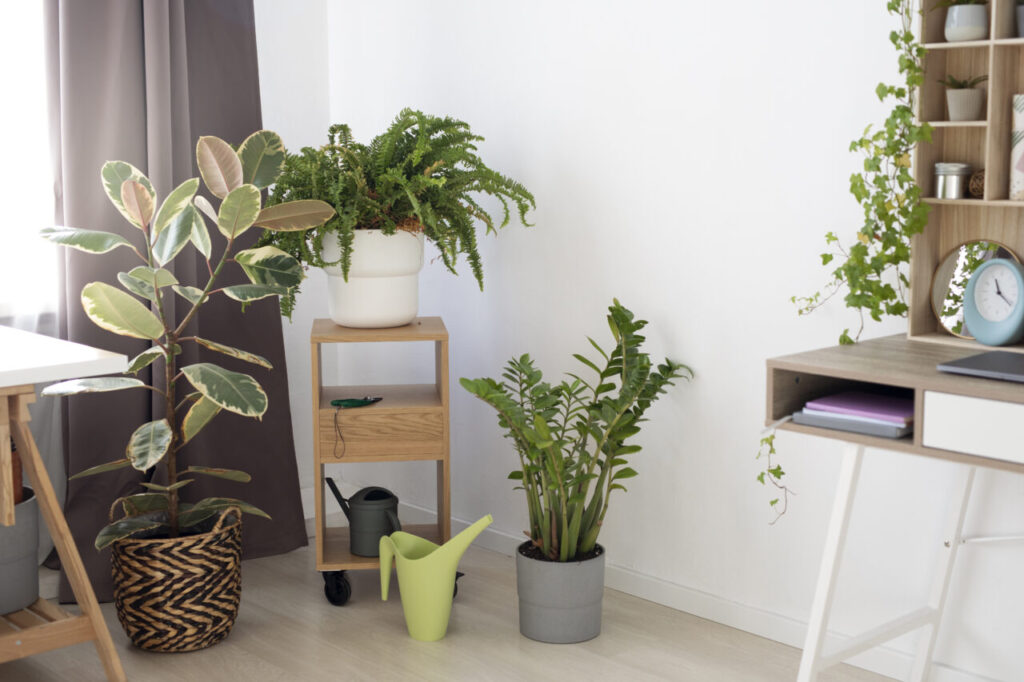 belo-design-de-interiores-com-plantas-verdes