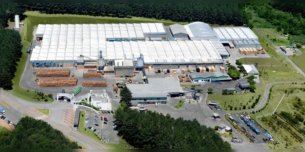 braspine-externa_00583359_0_202507150902