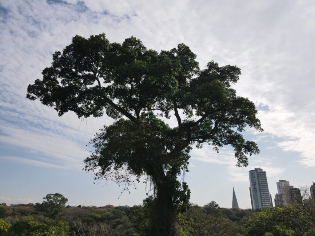 ec0c7add-7131-45a3-a6cc-764a014b7513