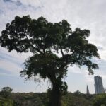 ec0c7add-7131-45a3-a6cc-764a014b7513