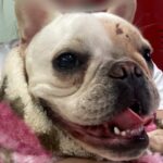 176099750168f6b07d7b2e9