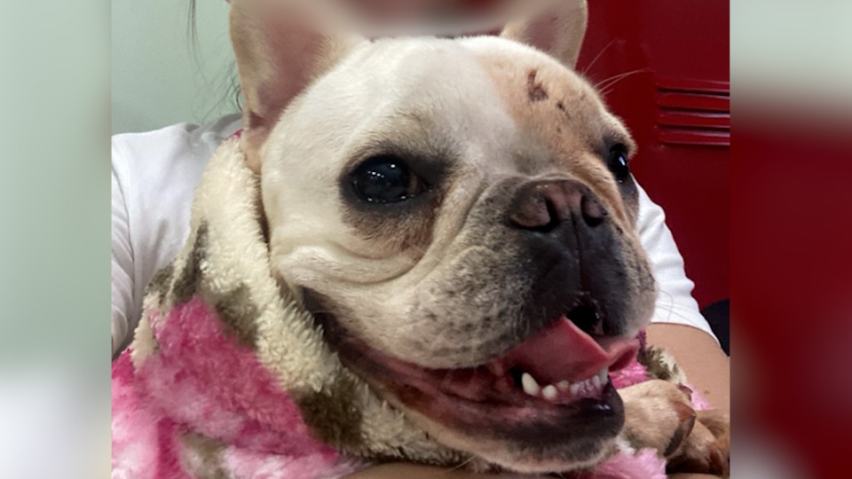 176099750168f6b07d7b2e9