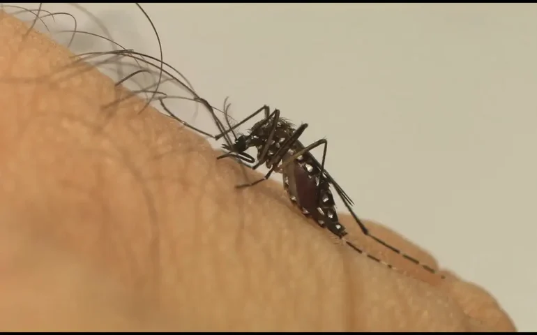 267fb152f4704a75cc6da9290567eaab2b3