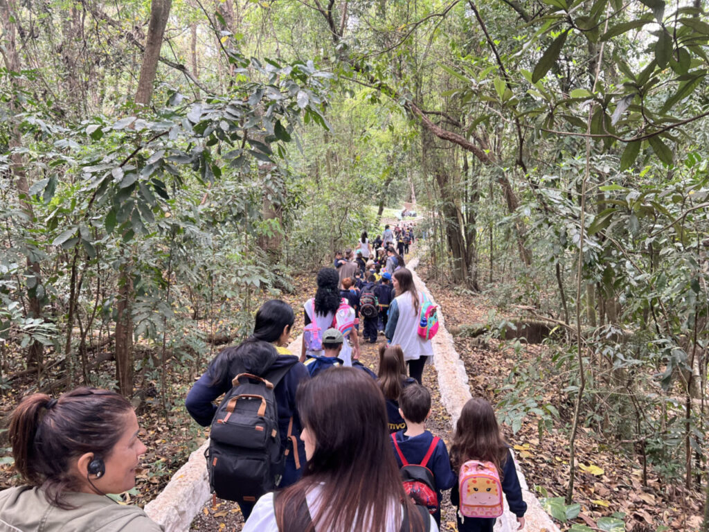 5f0e1fa1-4ded-47a3-9c07-59633083912e (1)