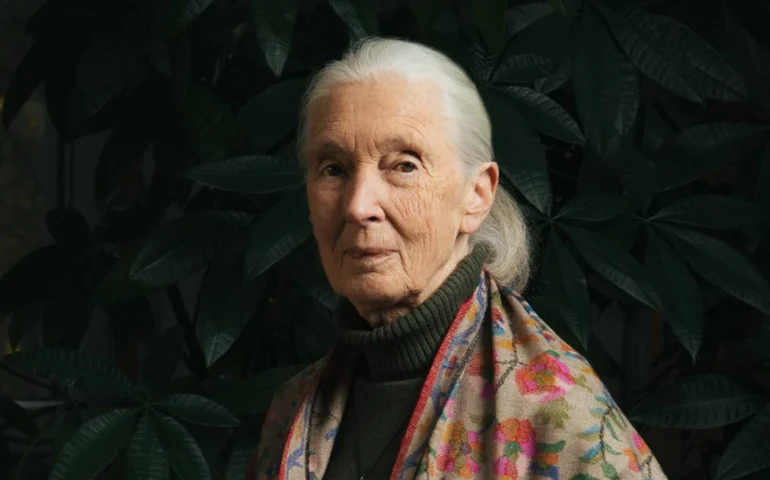 7f4a8969e057632067019036b4773eb5f2f