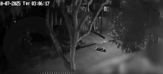 Captura de tela 2025-10-08 102501