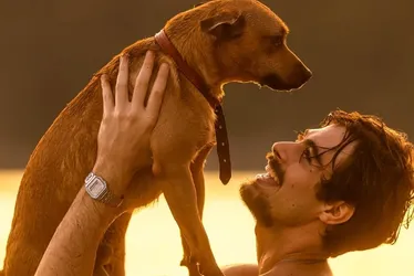 Caramelo-Netflix-lanca-campanha-de-adocao-inspirad0027786700202510101034-7