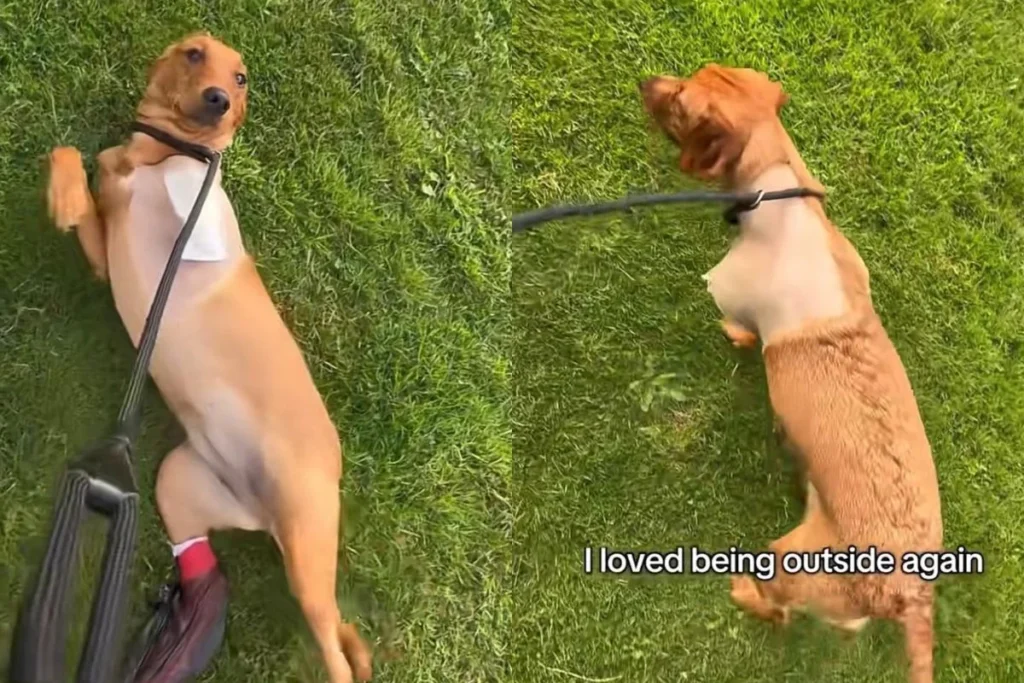 Design-sem-nome-1018