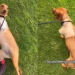 Design-sem-nome-1018