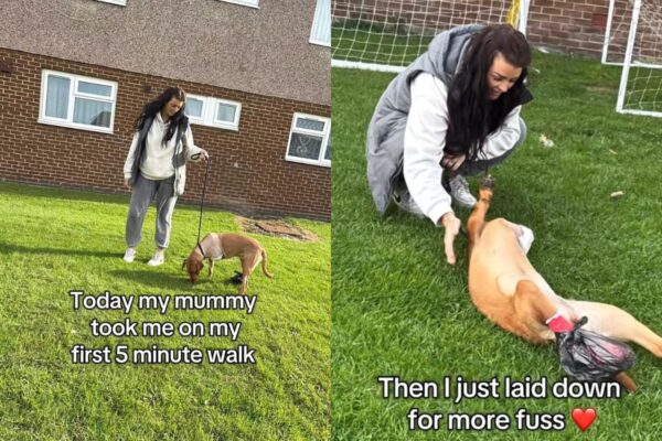 Design-sem-nome-1019-600×400