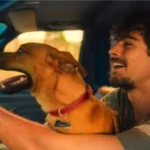 Design-sem-nome-2025-10-13T142832