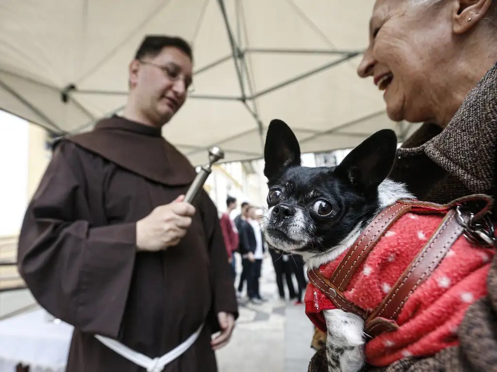 Imagem do WhatsApp de 2025-10-01 à(s) 16.44.15_301ee34e