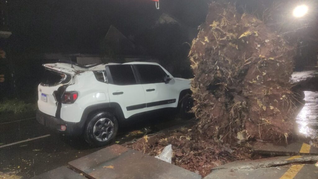 Imagem do WhatsApp de 2025-10-18 à(s) 10.00.24_6026be8d