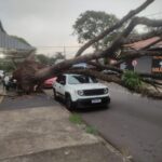 Imagem do WhatsApp de 2025-10-18 à(s) 10.00.25_a7c7bc32