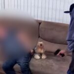 Imagem do WhatsApp de 2025-10-29 à(s) 08.52.17_1f34d8a5