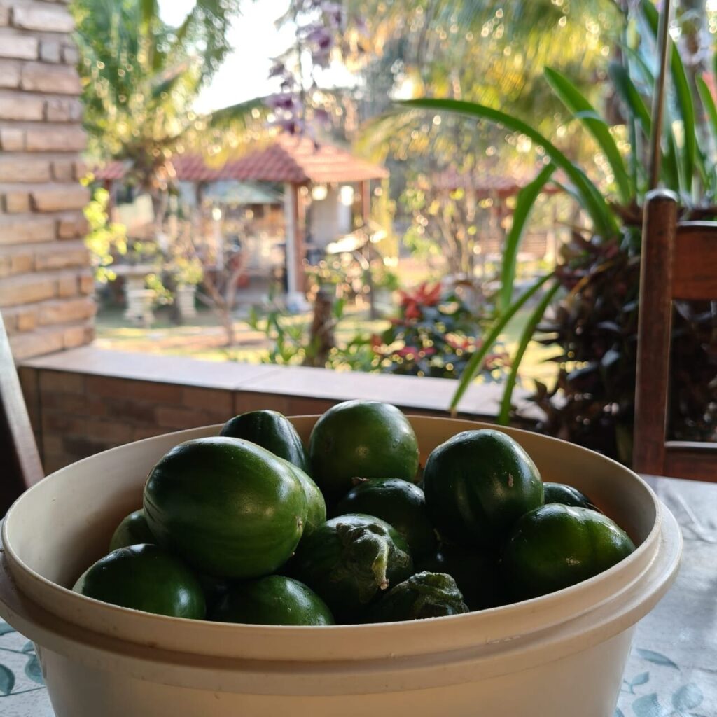 WhatsApp Image 2025-09-30 at 10.18.40